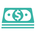 Budget Friendly
